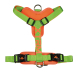 ARNES X-TRM CRONOS NEON FLASH VERDE 25mm x 60-100cm