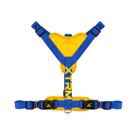 <p>Referencia del laboratorio: PE69683</p>