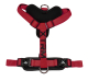 ARNES X-TRM CRONOS NEON FLASH ROJO/NEGRO 20mm x 46-75cm