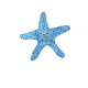 SEA STAR 29CM (UMV 3UDS.)