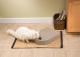 PETSAFE COMEDERO AUTOMATICO 5 COMIDAS