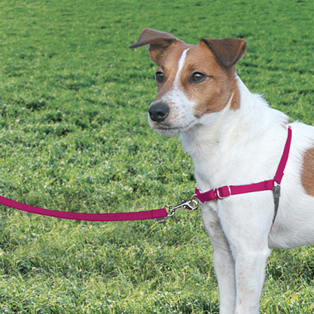 EASY WALK ARNES MEDIANO ROJO