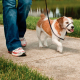 EASY WALK RONZAL PEQUEÑO NEGRO