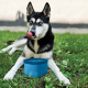 KURGO ZIPPY BOWL AZUL 1,4L
