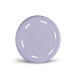 FRISBEE COLORES SURTIDOS 25CM