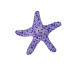 SEA STAR 29CM (UMV 3UDS.)