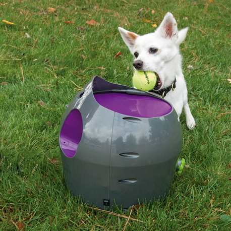 PETSAFE LANZADOR AUTOMATICO DE PELOTAS